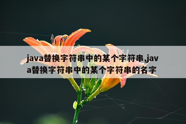 java替换字符串中的某个字符串,java替换字符串中的某个字符串的名字