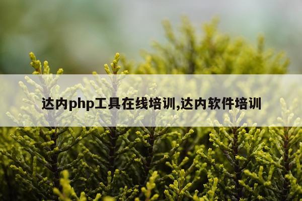 达内php工具在线培训,达内软件培训