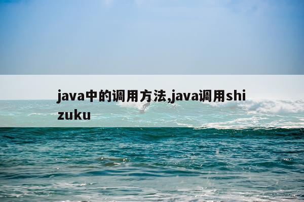 java中的调用方法,java调用shizuku