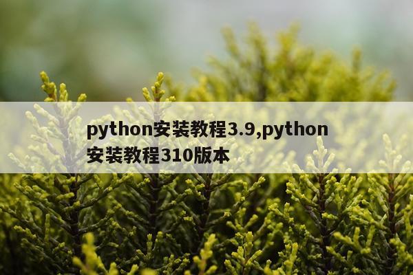 python安装教程3.9,python安装教程310版本