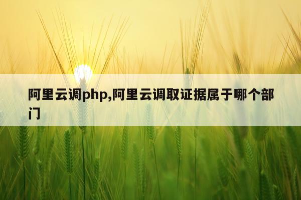 阿里云调php,阿里云调取证据属于哪个部门