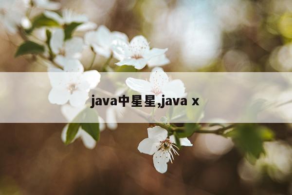 java中星星,java x