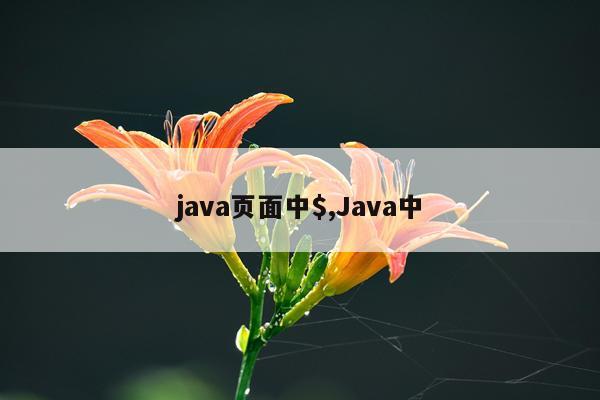java页面中$,Java中