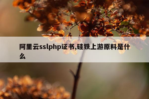 阿里云sslphp证书,硅铁上游原料是什么