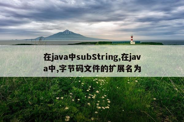 在java中subString,在java中,字节码文件的扩展名为
