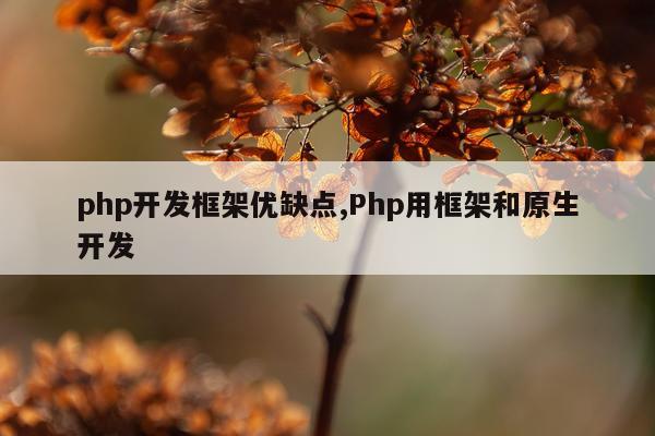 php开发框架优缺点,Php用框架和原生开发