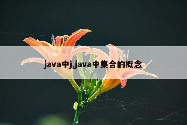 java中j,java中集合的概念