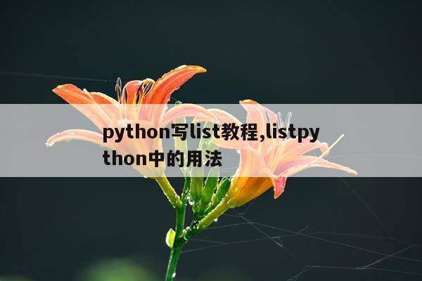 python写list教程,listpython中的用法