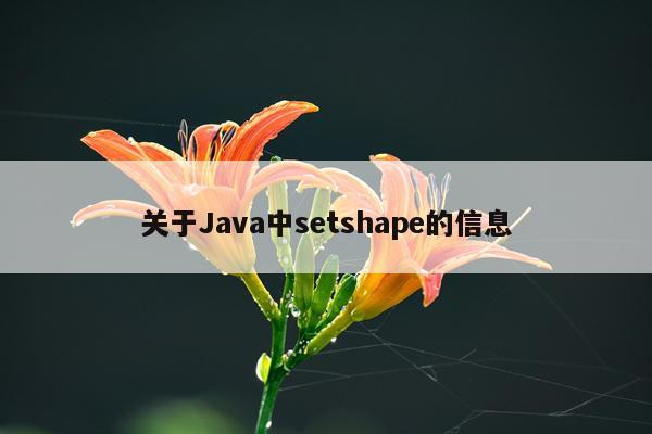 关于Java中setshape的信息