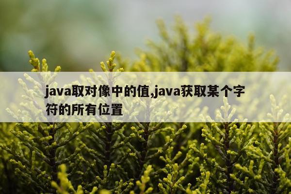 java取对像中的值,java获取某个字符的所有位置