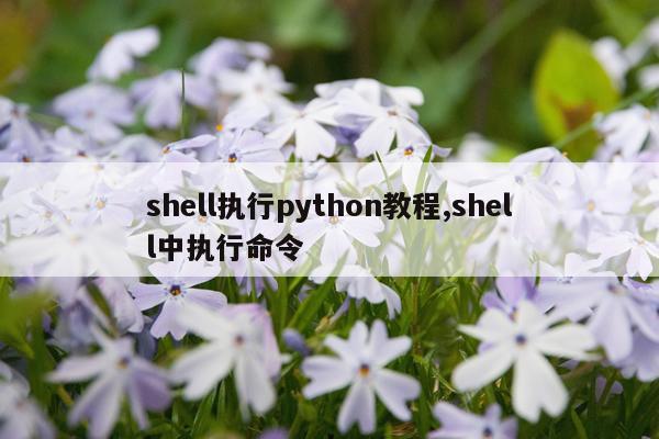 shell执行python教程,shell中执行命令