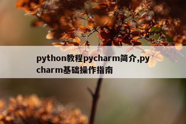 python教程pycharm简介,pycharm基础操作指南