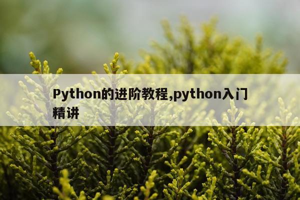 Python的进阶教程,python入门精讲