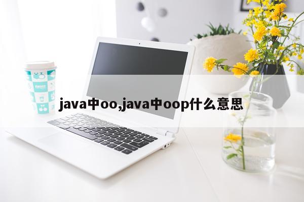 java中oo,java中oop什么意思