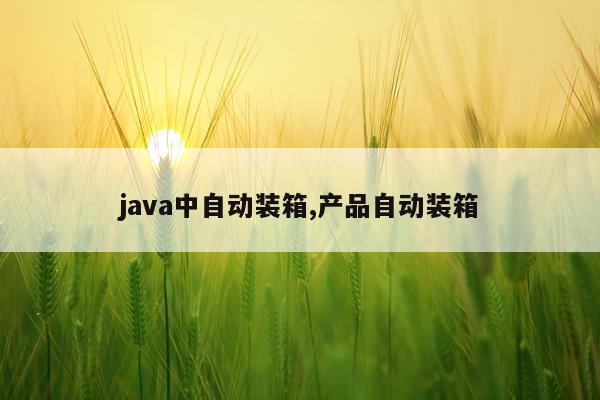 java中自动装箱,产品自动装箱