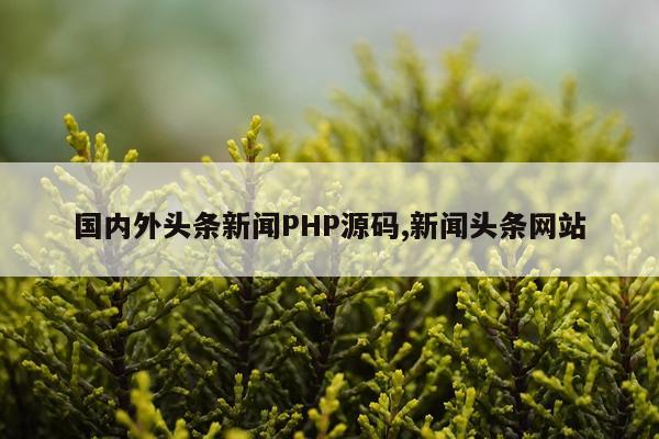 国内外头条新闻PHP源码,新闻头条网站
