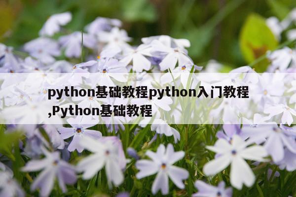 python基础教程python入门教程,Python基础教程