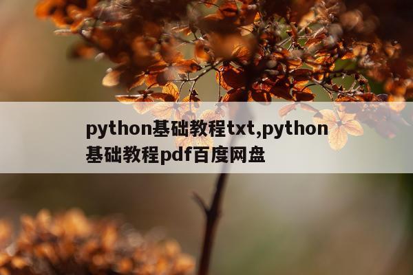 python基础教程txt,python基础教程pdf百度网盘
