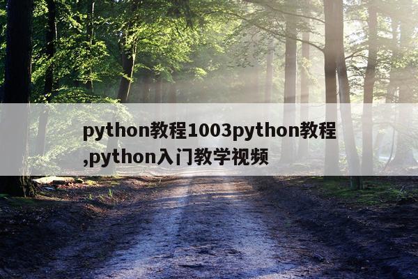 python教程1003python教程,python入门教学视频