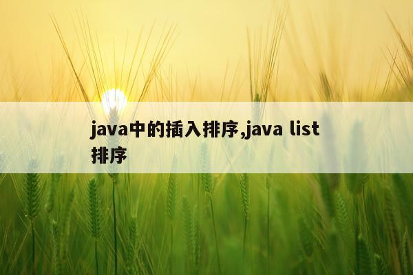 java中的插入排序,java list排序