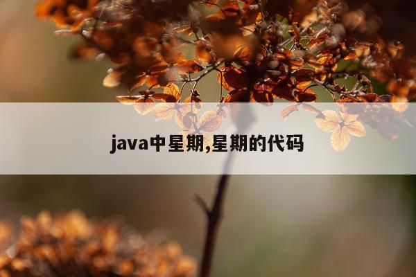 java中星期,星期的代码