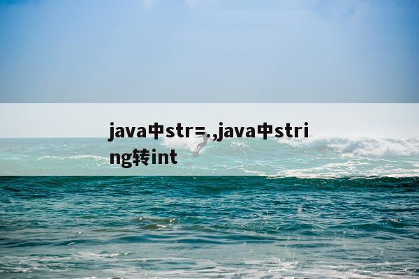 java中str=.,java中string转int