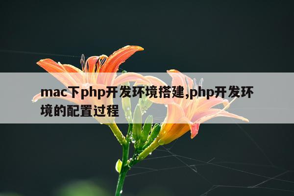 mac下php开发环境搭建,php开发环境的配置过程