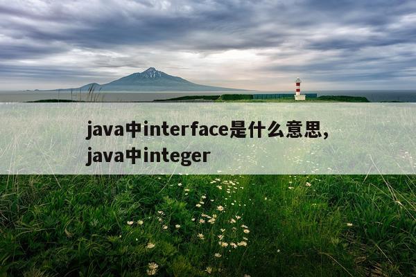 java中interface是什么意思,java中integer