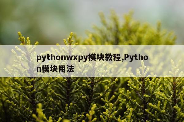 pythonwxpy模块教程,Python模块用法
