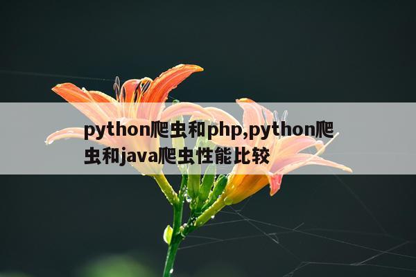 python爬虫和php,python爬虫和java爬虫性能比较