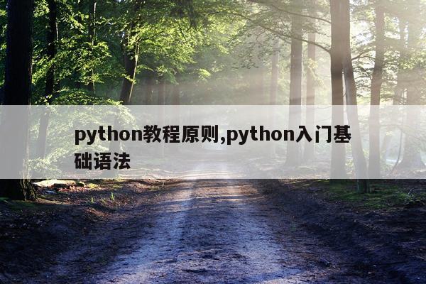 python教程原则,python入门基础语法
