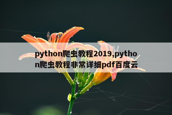 python爬虫教程2019,python爬虫教程非常详细pdf百度云