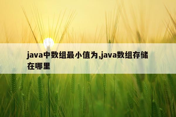 java中数组最小值为,java数组存储在哪里
