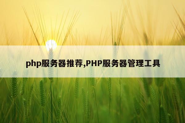 php服务器推荐,PHP服务器管理工具