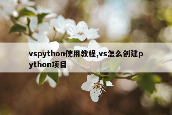 vspython使用教程,vs怎么创建python项目