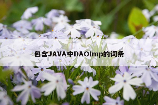 包含JAVA中DAOImp的词条