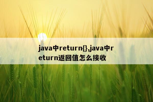 java中return{},java中return返回值怎么接收
