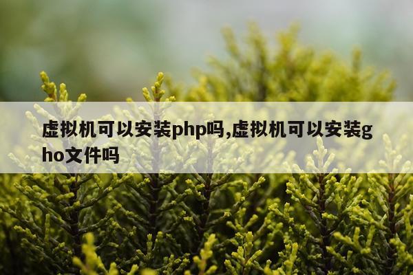 虚拟机可以安装php吗,虚拟机可以安装gho文件吗