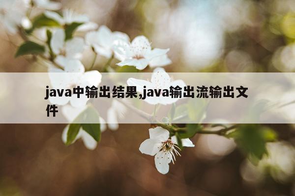 java中输出结果,java输出流输出文件