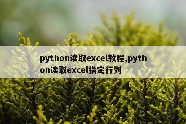 python读取excel教程,python读取excel指定行列