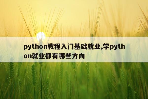 python教程入门基础就业,学python就业都有哪些方向