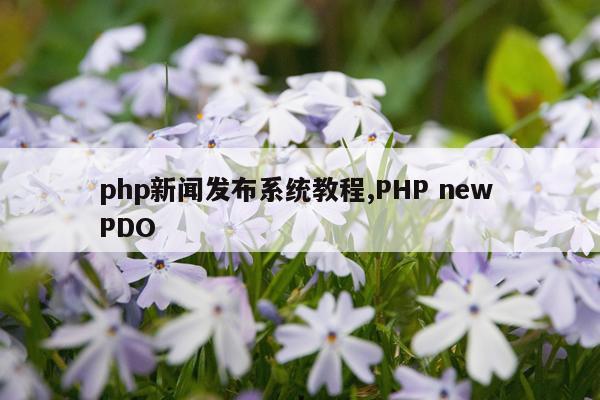 php新闻发布系统教程,PHP new PDO