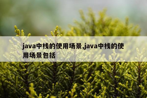 java中栈的使用场景,java中栈的使用场景包括