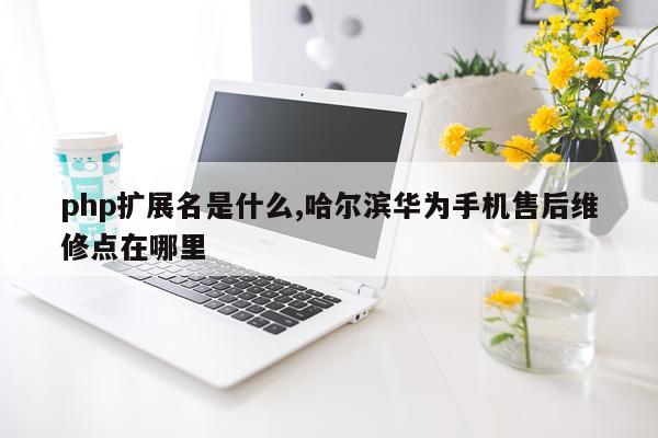 php扩展名是什么,哈尔滨华为手机售后维修点在哪里