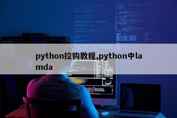 python拉钩教程,python中lamda