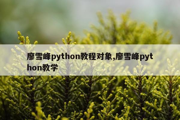廖雪峰python教程对象,廖雪峰python教学