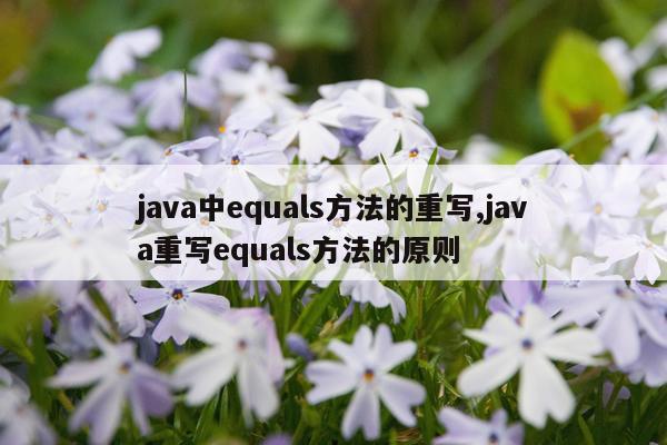 java中equals方法的重写,java重写equals方法的原则