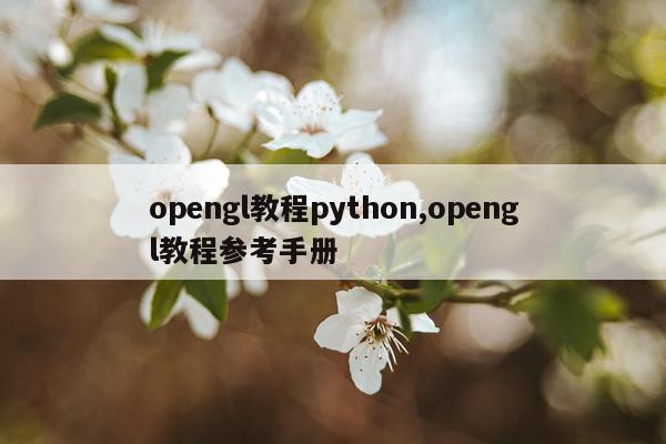 opengl教程python,opengl教程参考手册