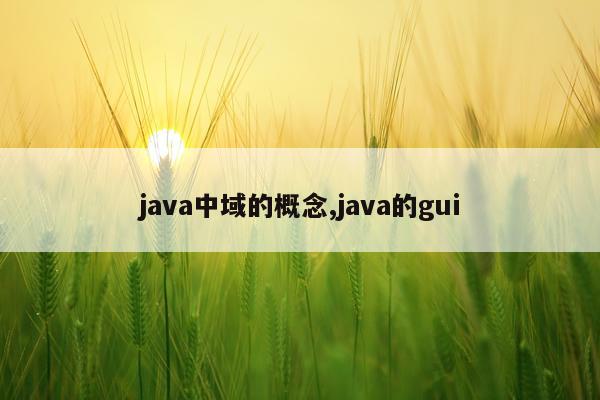 java中域的概念,java的gui
