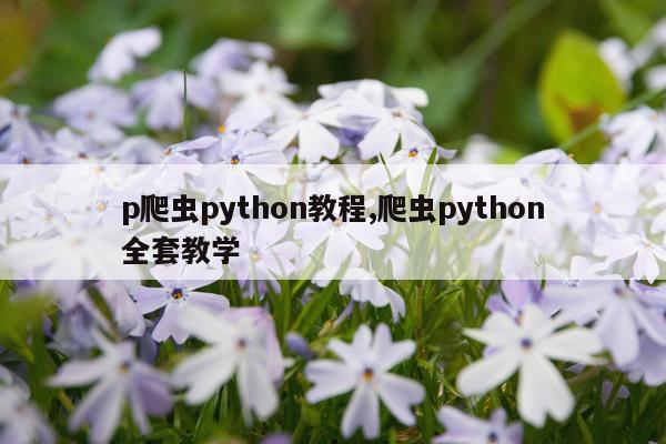 p爬虫python教程,爬虫python全套教学